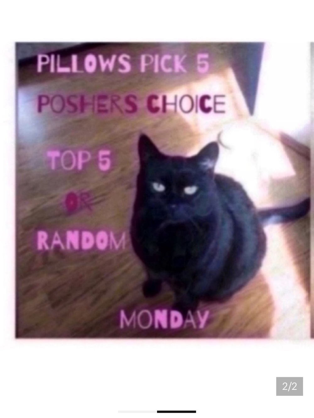 Pillows pick 5 - Picture 1 of 2